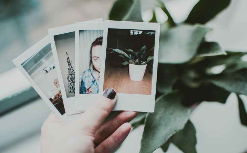 Book1One Photo Book Maker&nbsp;Software